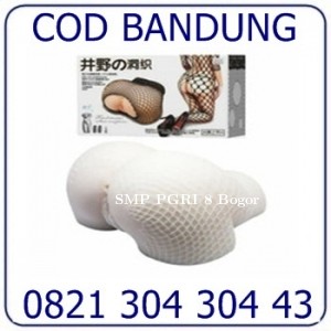 Agen Sex Toy Boneka Full Body Bandung COD 082130430443